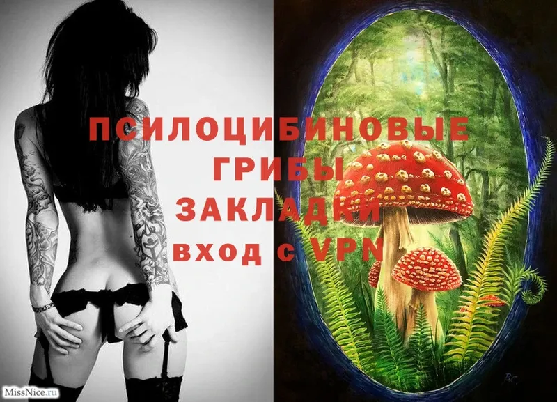 Псилоцибиновые грибы Cubensis  OMG как войти  Барнаул 